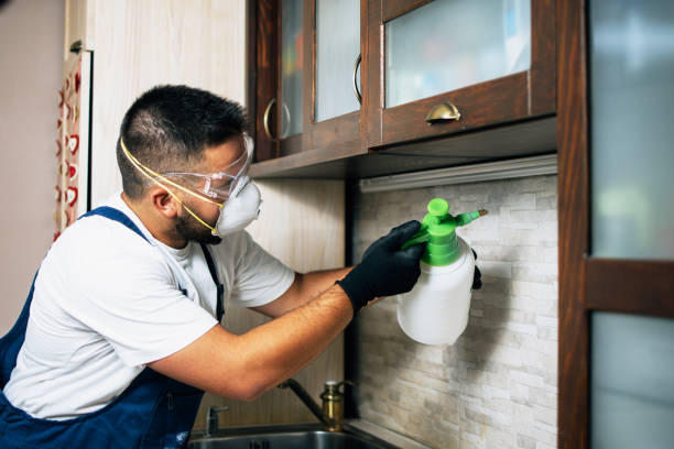 Best Local Pest Control Services  in Hancock, MI