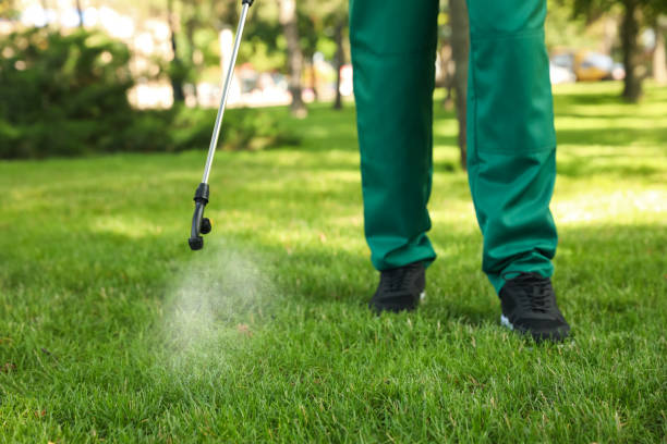 Best Pest Inspection Near Me  in Hancock, MI