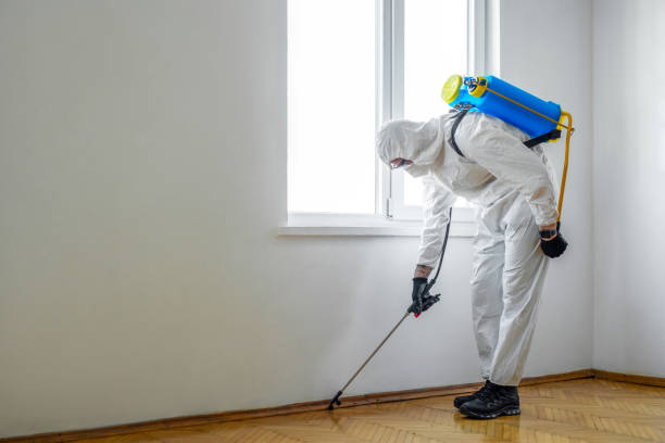 Best Affordable Pest Control Services  in Hancock, MI