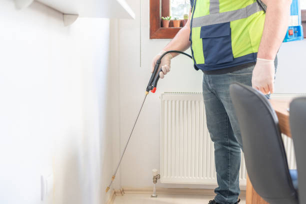 Best Termite Control Services  in Hancock, MI