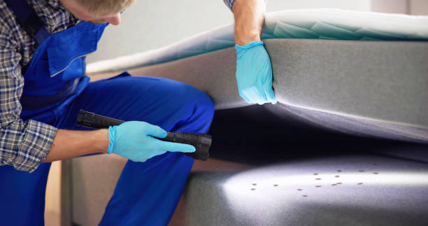 Best Wasp Removal Services  in Hancock, MI