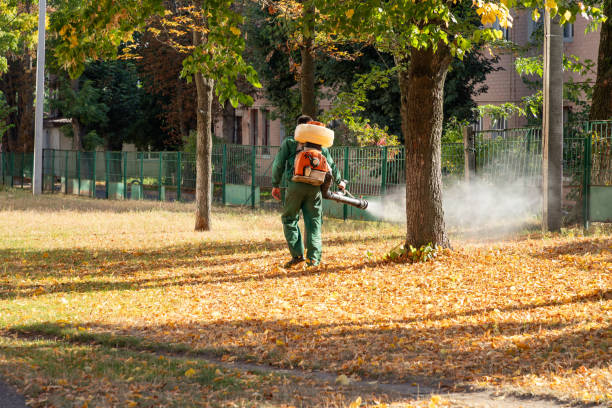  Hancock, MI Pest Control Pros