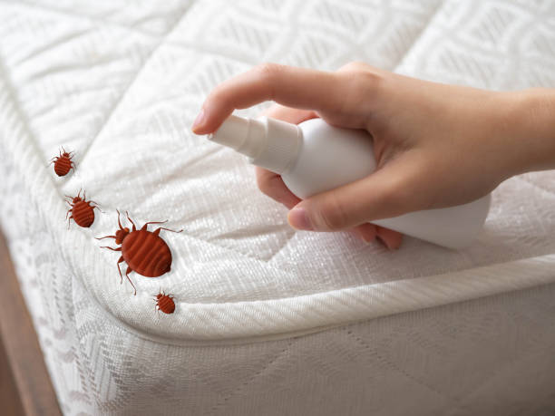 Best Pest Control for Restaurants  in Hancock, MI