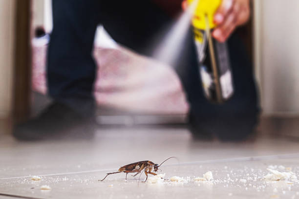 Best Pest Control Near Me  in Hancock, MI