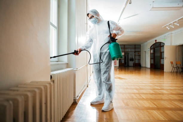 Best Best Pest Control Companies  in Hancock, MI
